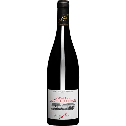 Saint-Nicolas de Bourgeuil 2024 - De Coninck Wine