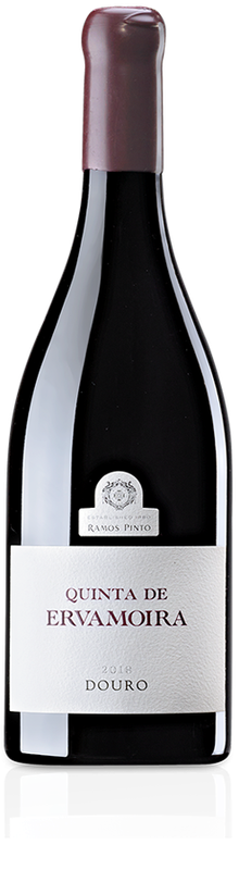 QUINTA ERVAMOIRA 19 Tinto Douro RAMOS 2019 - De Coninck Wine
