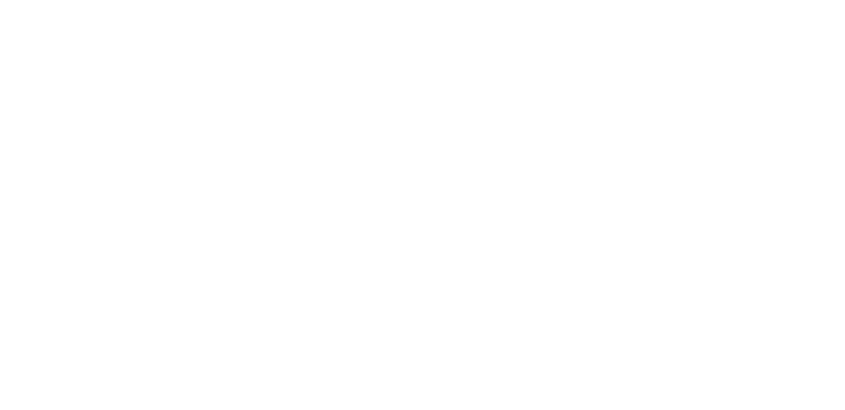 Ramos Pinto — Established 1880