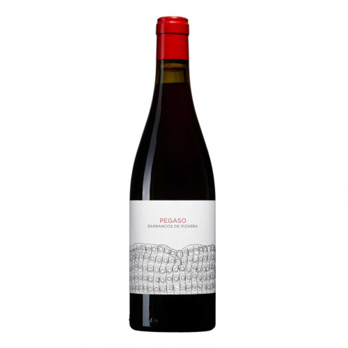 de Coninck Wine Merchant Telmo Rodriguez - Pegaso "Barrancos de Pizarra" 2015
