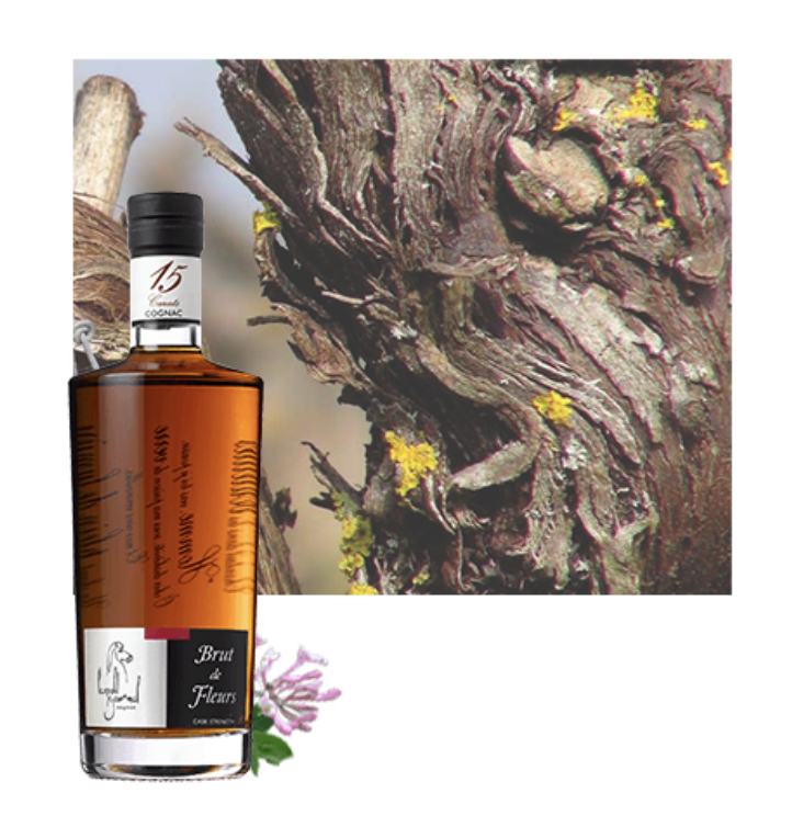 Brut de Fleurs | Léopold Gourmel | 15 Carats