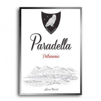 Paradella  Patrimonio 2017