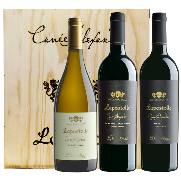 Coffret Bois "Cuvée Alexandre" BIO Chili