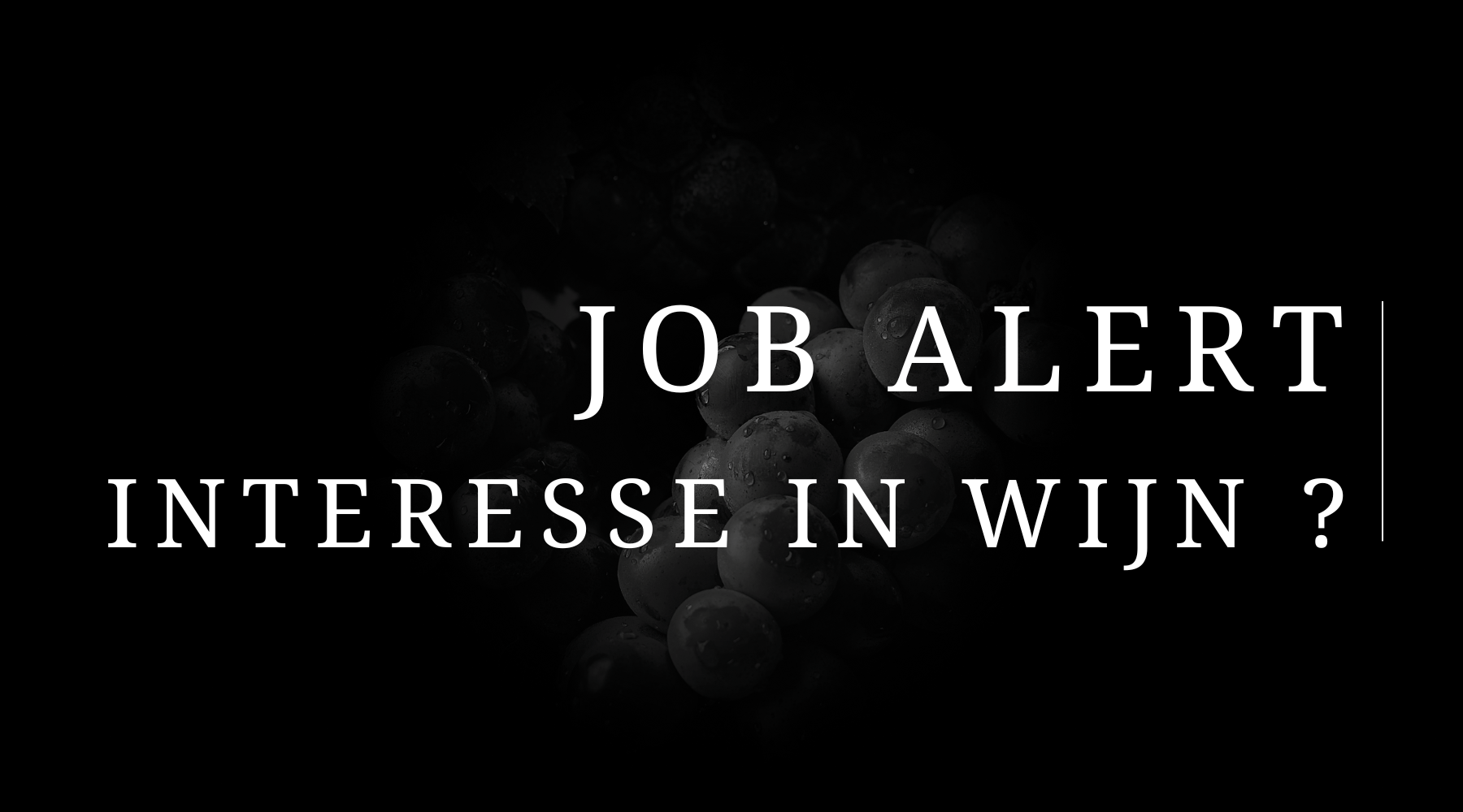 de Coninck Wine Merchant Sales Area Manager
