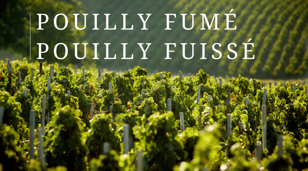 pouilly fumé