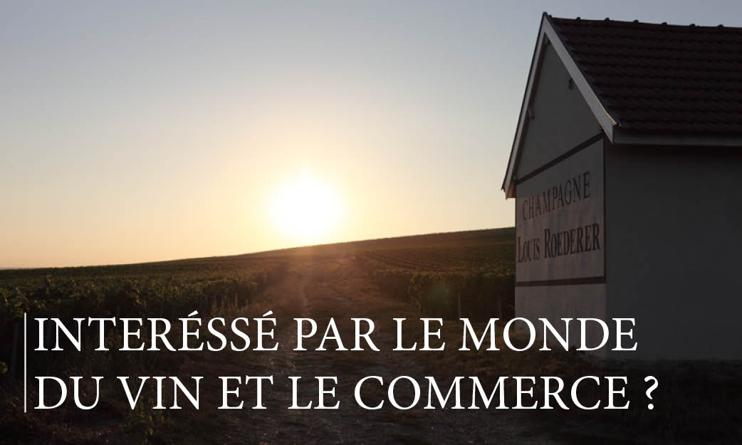 de Coninck Wine Merchant Consultant en vin pour le secteur Hainaut
